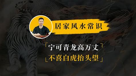 宁可青龙高万丈|“宁可青龙高万丈，不可白虎乱抬头”探究溯源